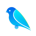 Bugu Nice VPN, 布谷鸟好用梯子