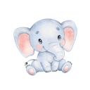 Daxiang Nice VPN, 巨象好用梯子