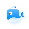 Large marine mammal Nice VPN